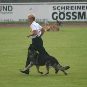 Meet your Posher, Joanne